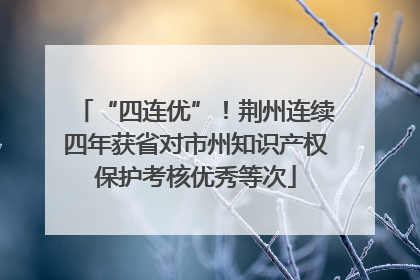 “四连优”！荆州连续四年获省对市州知识产权保护考核优秀等次